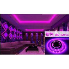 Bande LED Violet 14.4W Ce et Rhos 60SMD3014